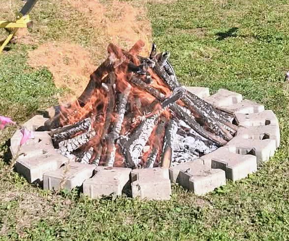Miniaturka artykułu Jesienne spotkanie przy ognisku – Święto Pieczonego Ziemniaka